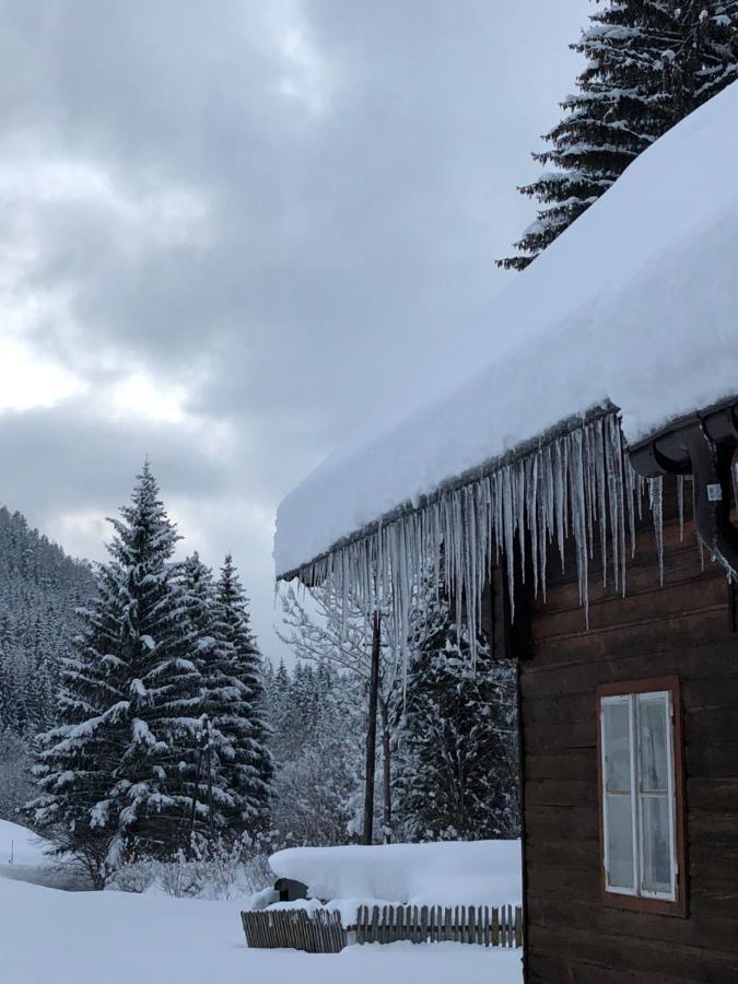 Chalet Anno 1794 Rettenegg 外观 照片