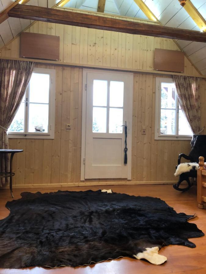 Chalet Anno 1794 Rettenegg 外观 照片